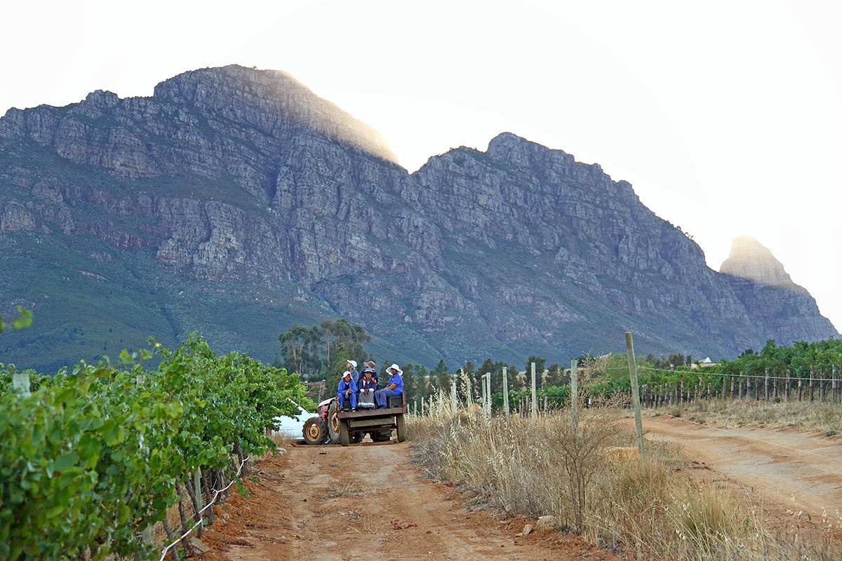 Muratie Wine Estate Стелленбос Экстерьер фото