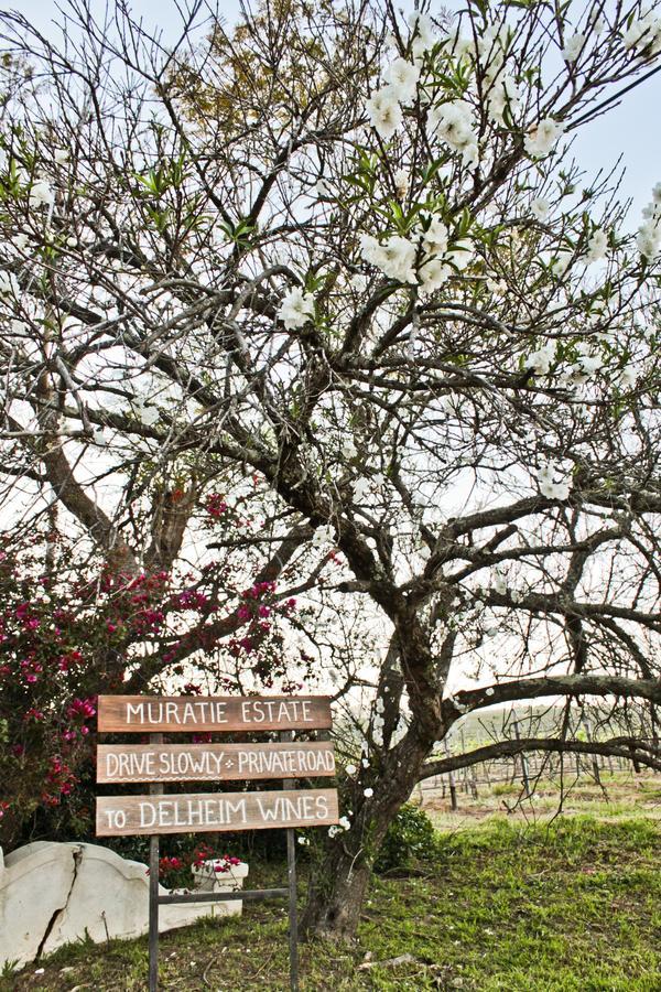 Muratie Wine Estate Стелленбос Экстерьер фото